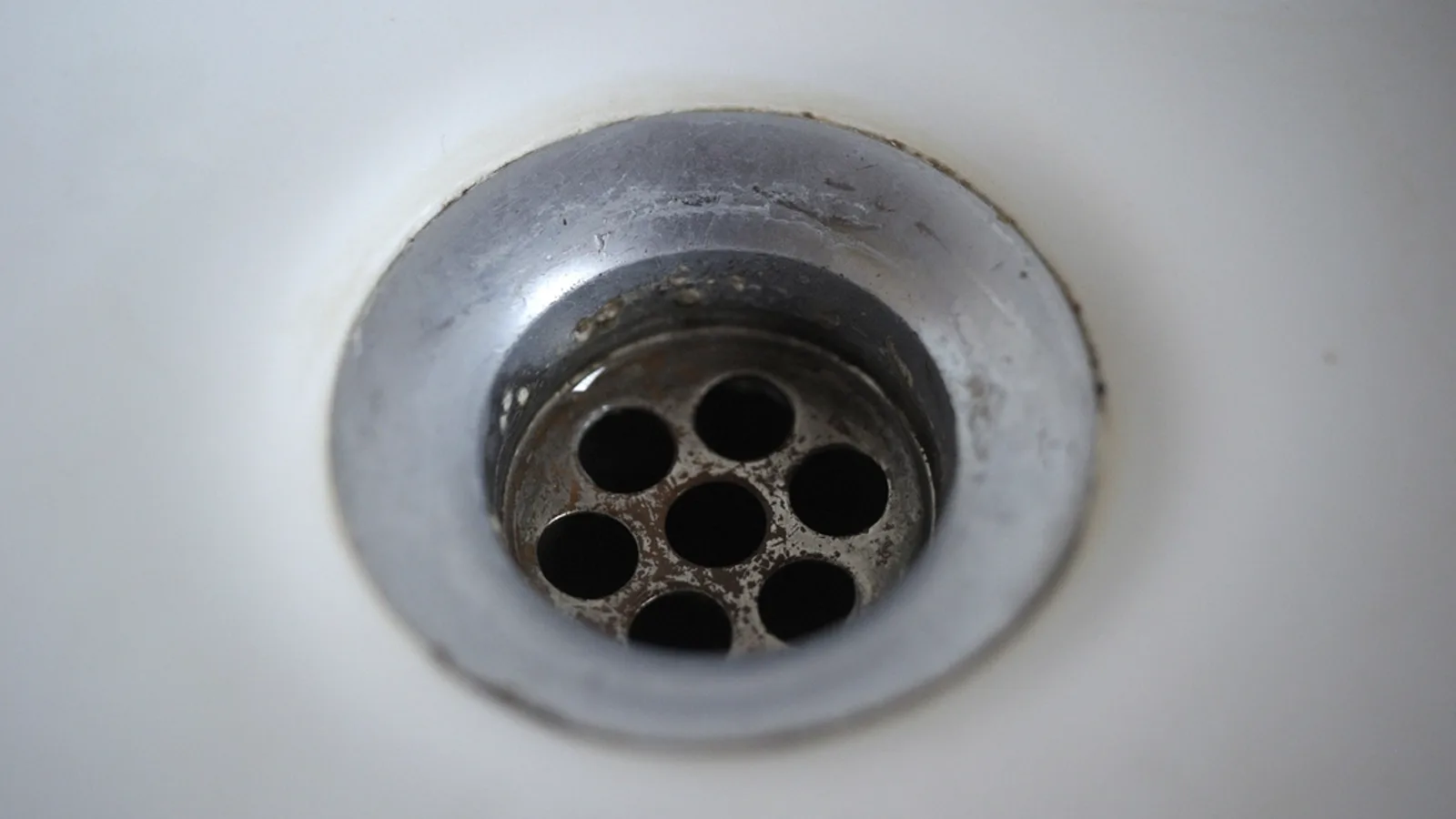 Drain and sewer guidance for Sarasota homeowners