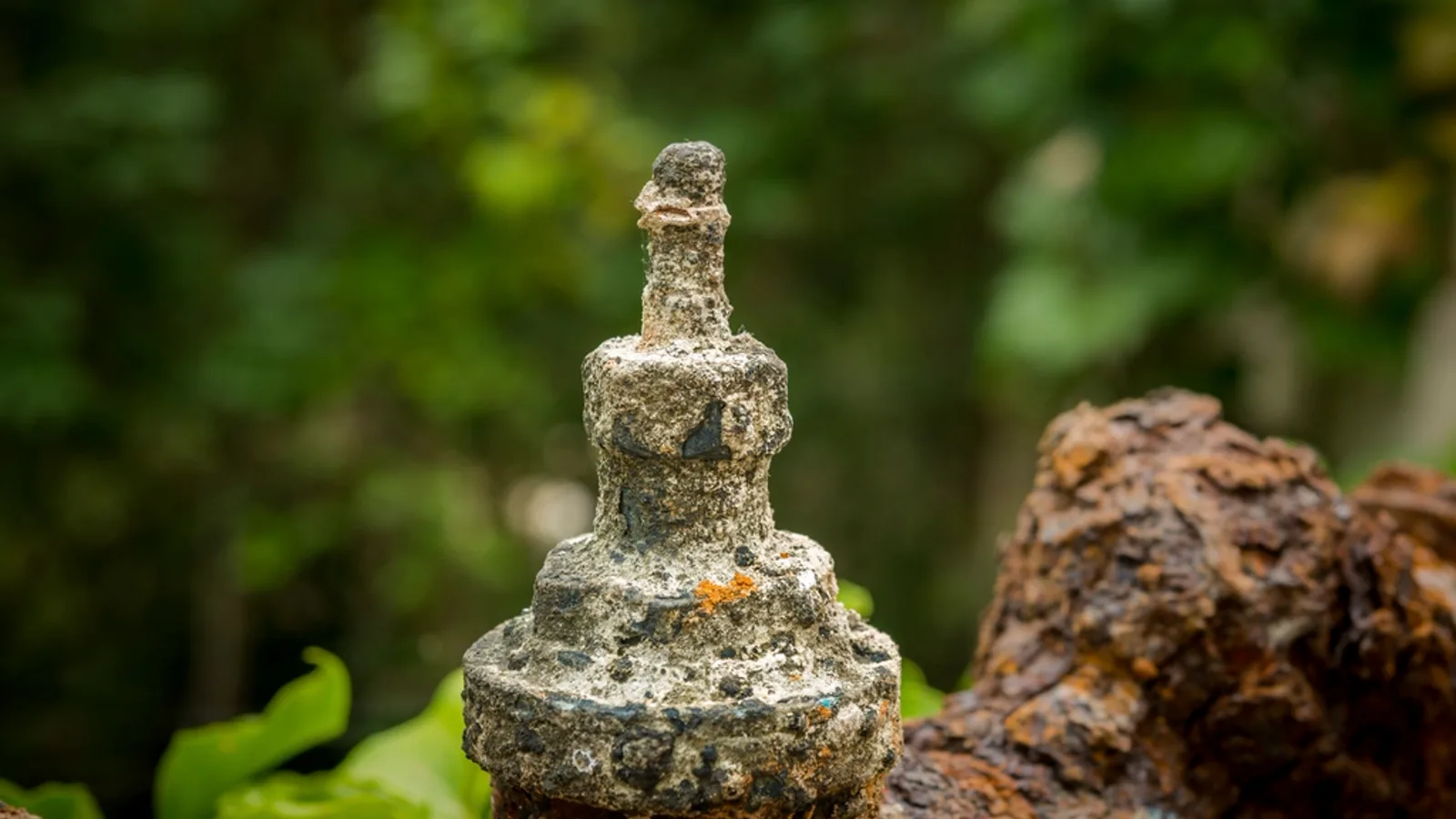 Plumbing and drain guidance for Sarasota homeowners